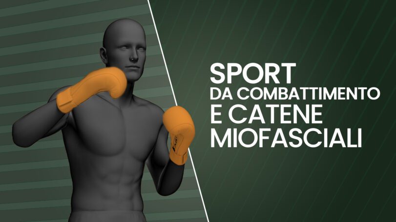 Sport da combattimento e catene miofasciali