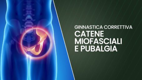 Catene miofasciali e pubalgia: analisi, approccio e esercizi