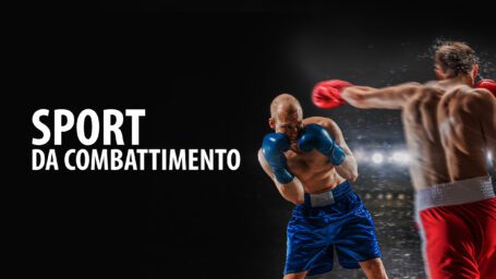 Sport da combattimento